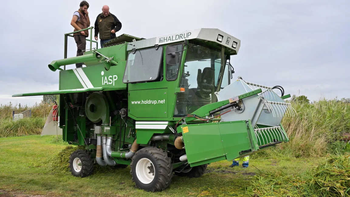 Geschäftsführer Robert Jäkel und Betriebsinhaber Guido Leutenegger bei der Ernte. Foto: Ulrich Pfandler