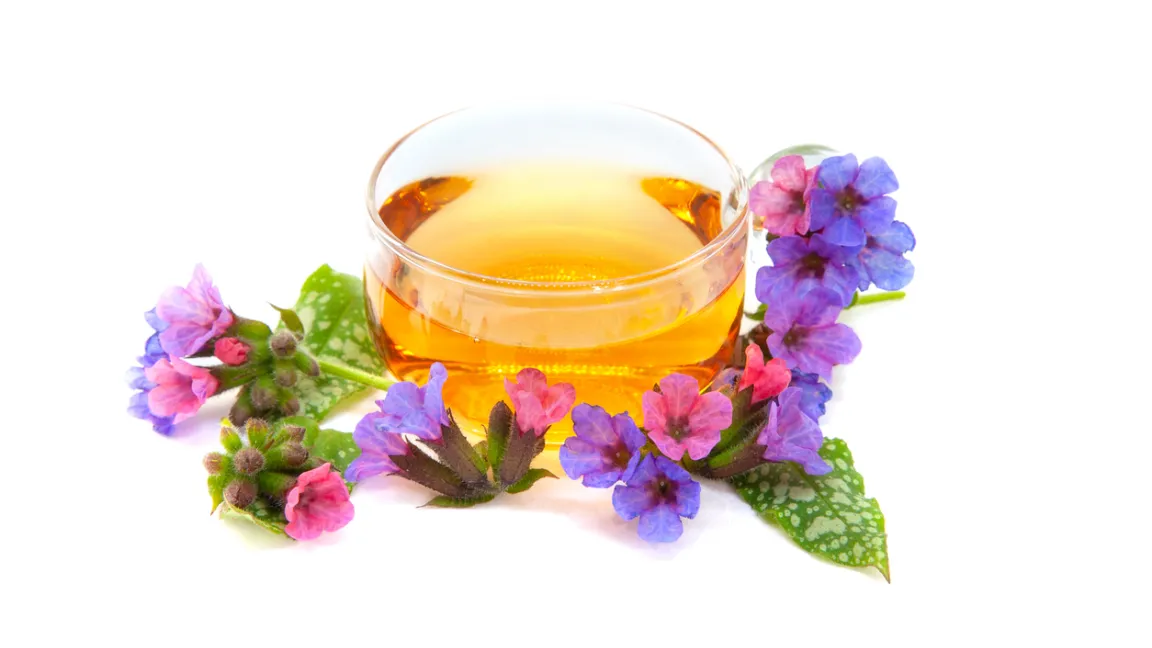 Lungenkraut-Tee ist ein bewährtes Hausmittel bei Husten und anderen Atemwegsbeschwerden. Foto: iStock