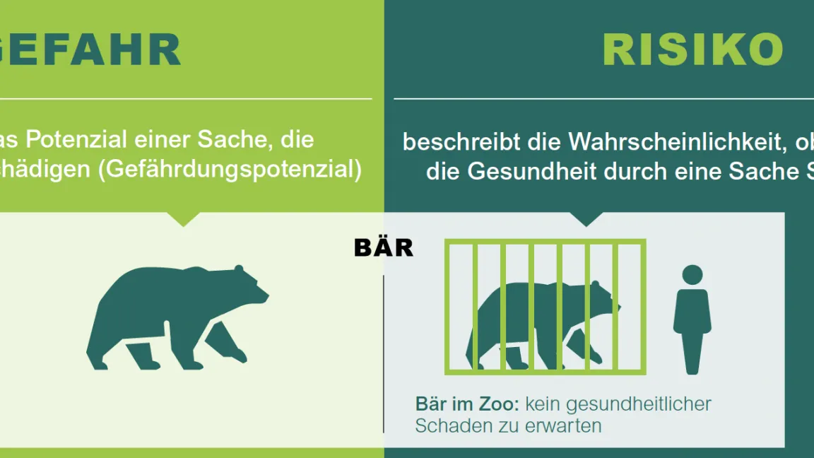 Ein Bär ist immer eine Gefahr, oft allerdings – zum Glück – kein großes Risiko. Foto: BfR