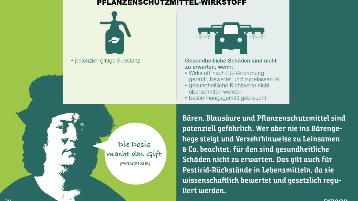 Nach diesen Vorgaben gehen die Behörden bei der Zulassung von Pflanzenschutzmitteln vor. Foto: BfR
