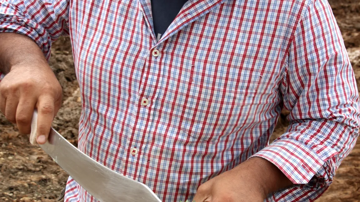 Der Vorarbeiter bereitet mit wenigen Handgriffen eine reife Frucht zum Verzehr vor. Foto: Catrin Hahn