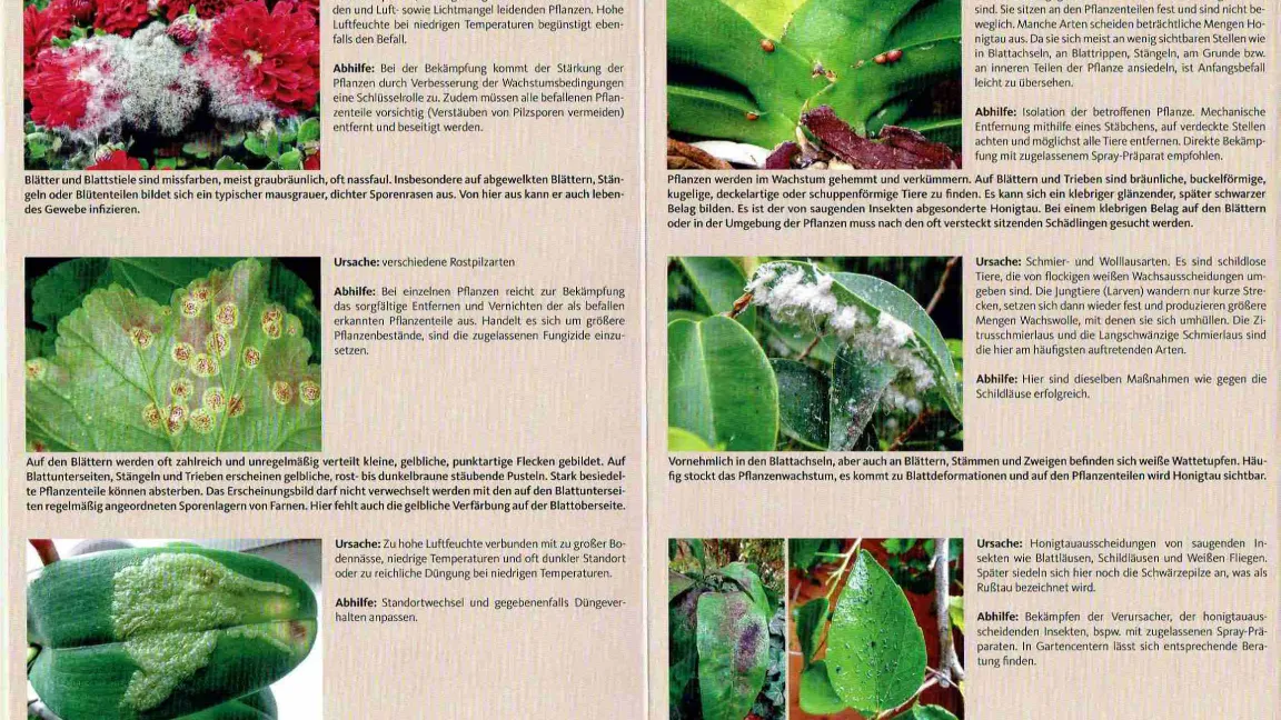 Ideal zum Vergleichen: die Gegenüberstellungen von Schadbildern. Foto: Heinrich Beltz