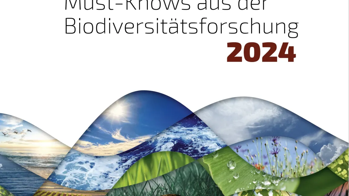 Broschüre "10 Must-Knows aus der Biodiversitätsforschung 2024". Quelle: Leibniz-Forschungsnetzwerk Biodiversität