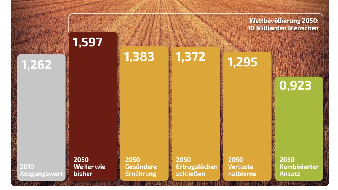 Punkt 6 enthält Szenarien, wie der Ackerflächenbedarf bis 2050 mit verschiedenen Maßnahmen gesenkt werden kann. Quelle: Broschüre "10 Must-Knows aus der Biodiversitätsforschung 2024", Leibniz-Forschungsnetzwerk Biodiversität
