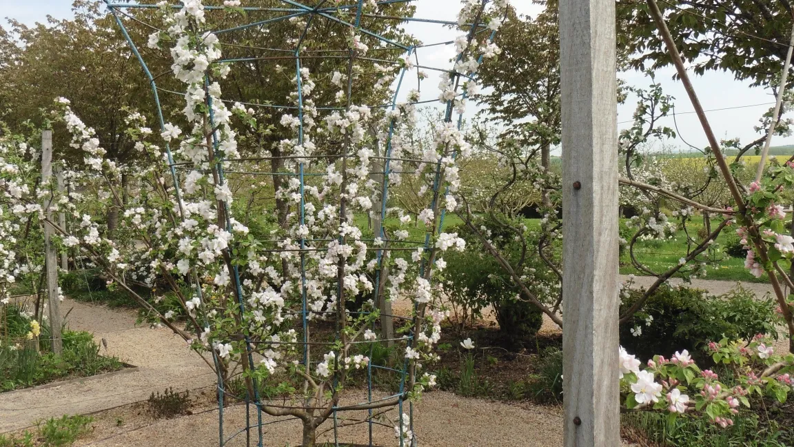 Selbst dreidimensionale Formen wie dieser Becher stehen im Irrgarten in Laquenexy. Foto: Heinrich Beltz