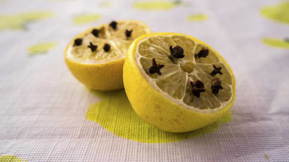 Eine mit Nelken gespickte Zitrone hält Wespen und andere Insekten fern. Foto: iStock