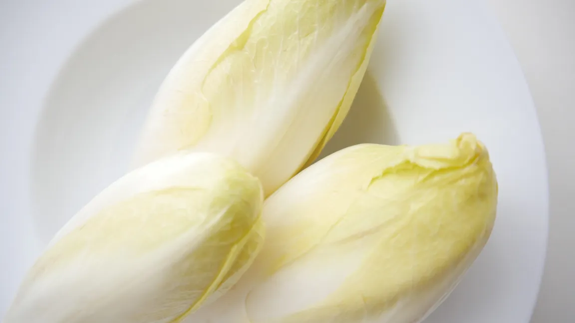 Der in Chicorée enthaltene Bitterstoff Lactucopikrin schmeckt zwar gewöhnungsbedürftig, ist aber gesund, wirkt er doch positiv auf Verdauung und Leber und hat nur wenig Kalorien. Foto: Griet Kurtz / Pixabay