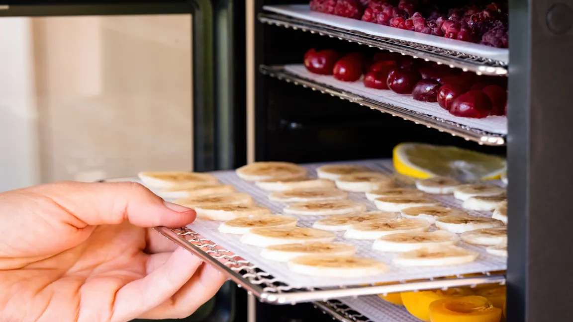 Wer Trockenobst gerne selbst zubereitet, sollte über die Anschaffung eines Dörrautomaten nachdenken. Foto: iStock 