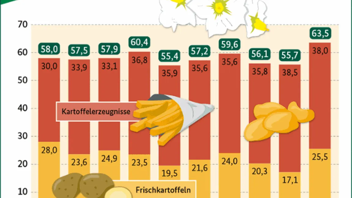 Nachdem der Verbrauch von Kartoffeln zuletzt im Wirtschaftsjahr 2017/2018 über 60 Kilogramm lag, erreichte er 2023/24 einen Höchstwert von 63,5 Kilogramm. Grafik: BZL