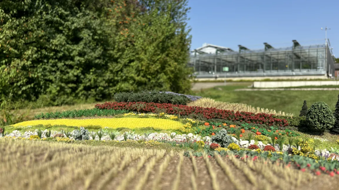 Werden Pflanzen nur dort angebaut, wo sie optimal wachsen können, entstehen wie hier im Modell kleinteiligere Agrarlandschaften. Foto: Daniel Herrmann, JKI