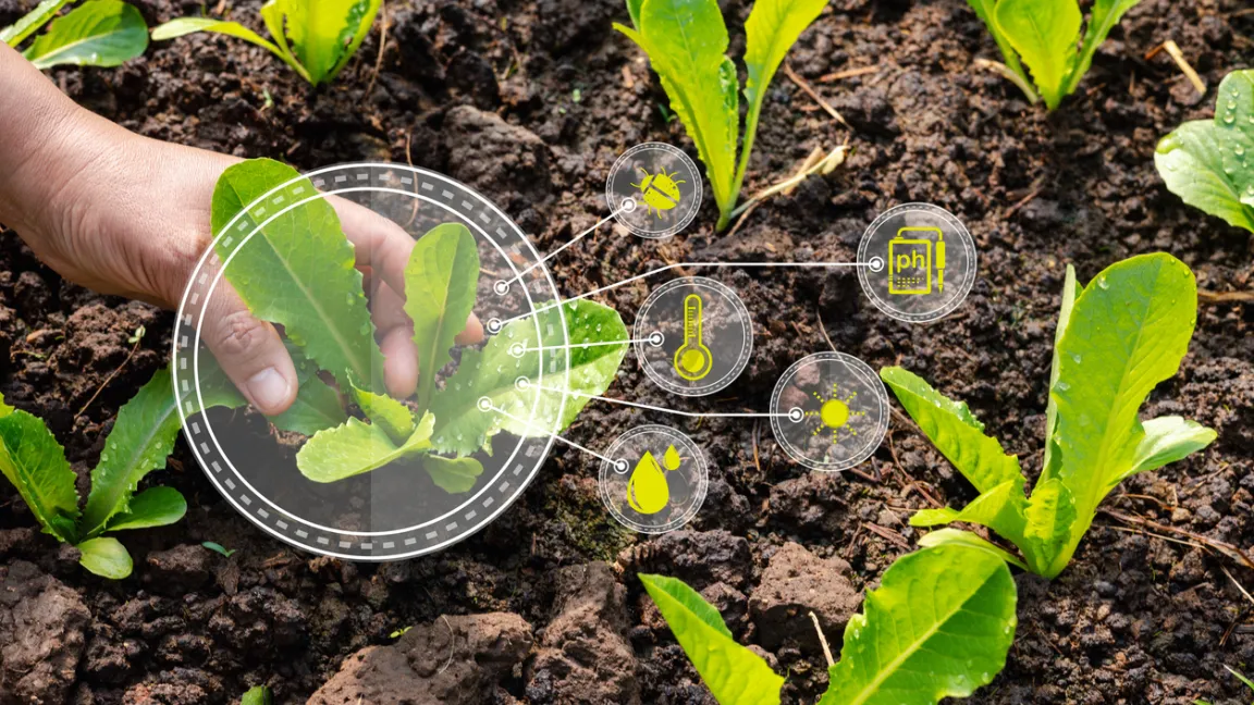 Ziel des Spot Farming ist, Pflanzen dort anzubauen, wo sie jeweils optimale Wachstumsbedingungen vorfinden. Foto: iStock