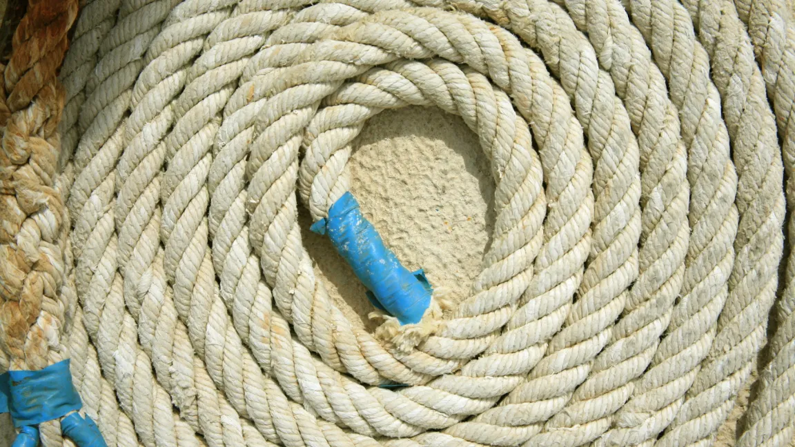 Die Fasern der Pflanze wurden vor allem zu Seilen oder Segeltuch verarbeitet. Heute verstärken sie unter anderem Kunststoffe. Foto: Rainer Sturm / Pixelio