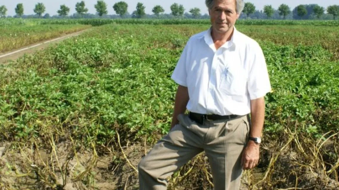 Die Kraut- und Knollenfäule ist weltweit die bedeutendste Kartoffelkrankheit. Sie befällt Blätter und Stängel ebenso wie die Knollen und verursacht enorme Ertragsausfälle. - Projektleiter Anton Haverkort im Versuchsfeld an der Universität Wageningen (NL). Foto: transgen.de