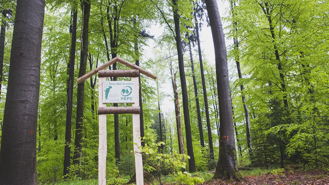 Die Waldschutzorganisation PEFC fragt in diesem Jahr, wie sich die Deutschen "ihren" Wald vorstellen. Foto: PEFC Deutschland