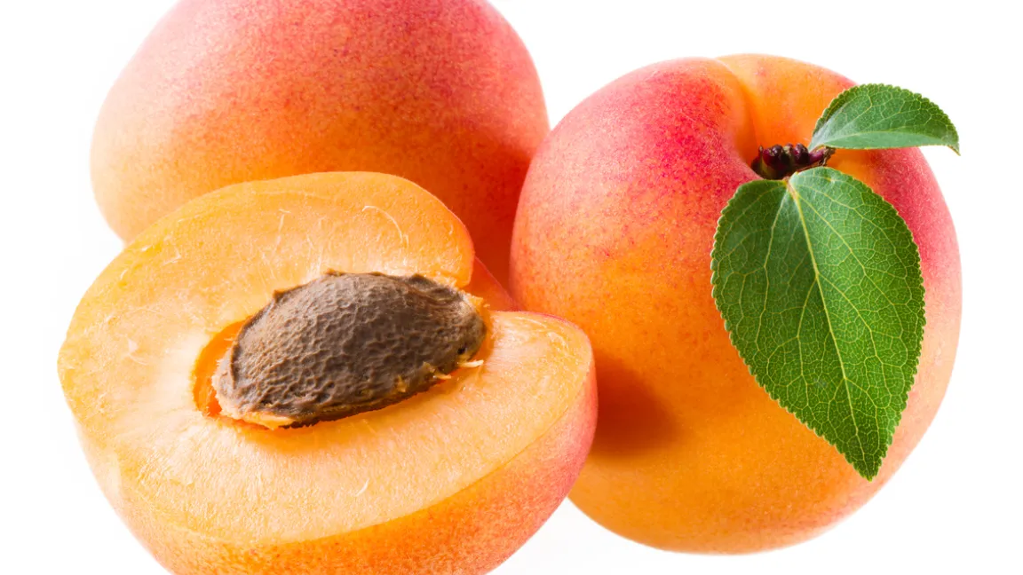 Die Färbung der Aprikosen ist sortenabhängig. Die Frucht schmeckt süß bis süß-säuerlich und sehr aromatisch. Foto: istock