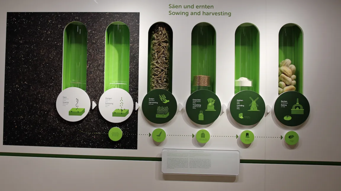 Diese Tafel zeigt sehr bildhaft, was mit welchem Aufwand an Saatgut und Dünger von einem Quadratmeter Boden geerntet werden kann. Foto: Catrin Hahn