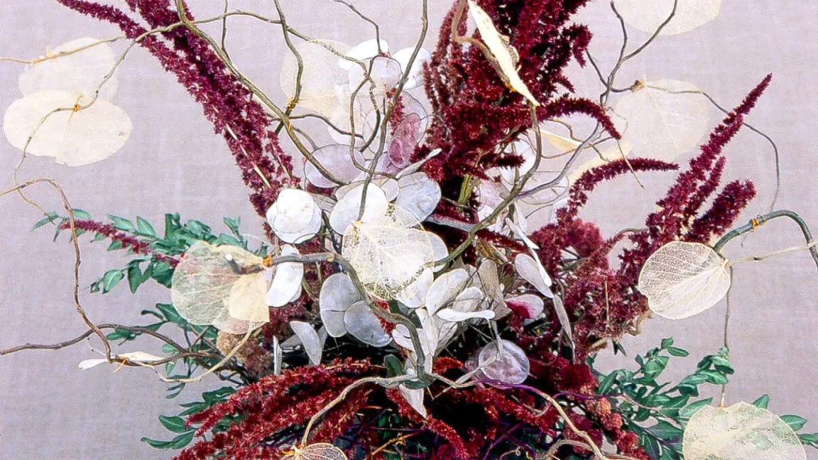 Judassilberling in der Floristik. Foto: Klaus Margraf