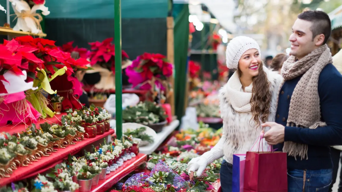 Weihnachtssterne sind in bunter Auswahl... Foto: Fotolia