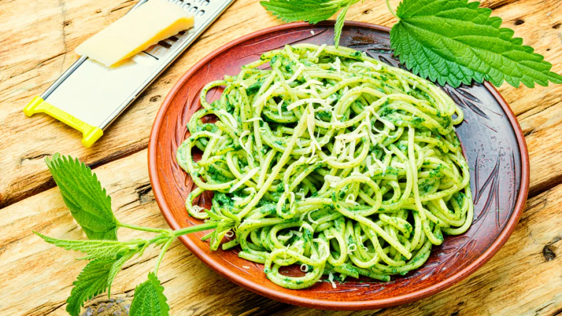 Auch in der Küche sind die gesundheitsförderlichen Nesseln beliebt, zum Beispiel als Brennnesselpesto. Foto: shutterstock