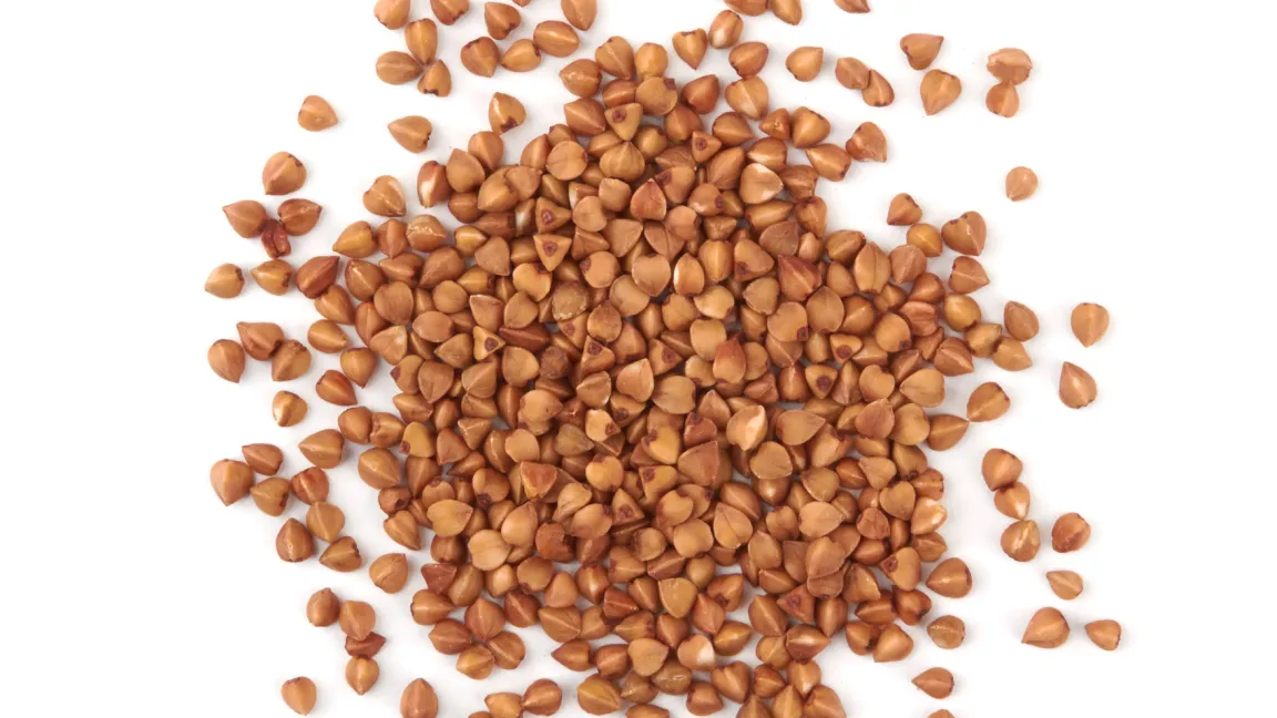 Die dreieckigen Körner des Buchweizens sehen ähnlich wie Bucheckern, die Samen der Buche, aus. Daher auch die Bezeichnung Buchweizen. Foto: istock