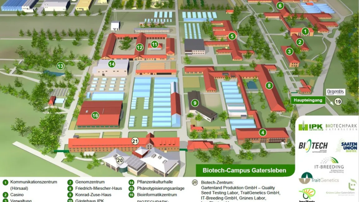 Der Campus von Institut, Genbank und Biotech-Campus, in dem sich Start-up-Unternehmen und Züchter niedergelassen haben. Foto: IPK Gatersleben