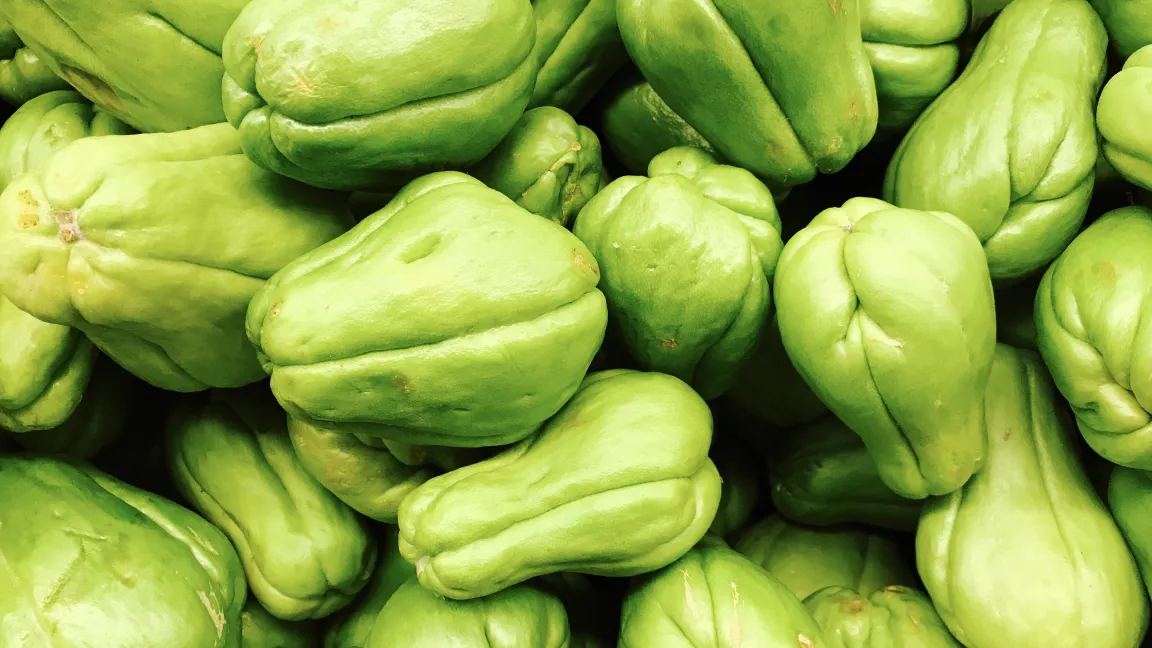 Chayoten können keinen Frost vertragen. Foto: Shutterstock