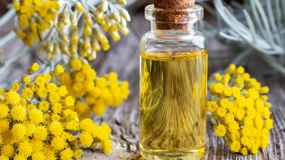 Schon in der Antike als Heilmittel eingesetzt, findet Currykraut in der Naturheilkunde auch heute noch Verwendung. Foto: iStock