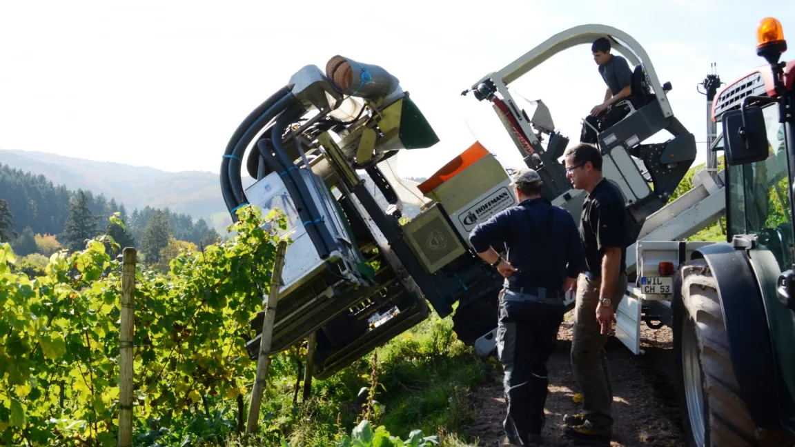 An der Mosel sind extreme Steillagen keine Seltenheit. Eine Steigung von 78 Prozent schafft theoretisch das neue RMS. Foto: Hoffmann Landmaschinen GmbH