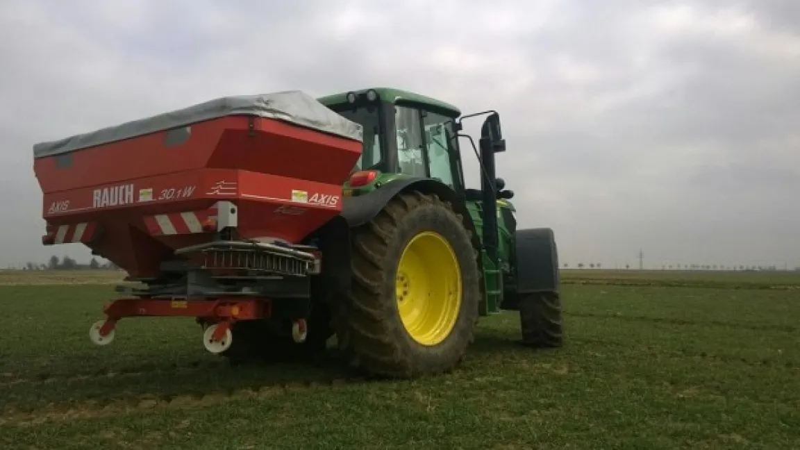 Dinkel benötigt zwar weniger Stickstoffdünger als andere Getreidearten, der Ertrag kann damit aber dennoch deutlich gesteigert werden. Foto: Matthias Wiedenau
