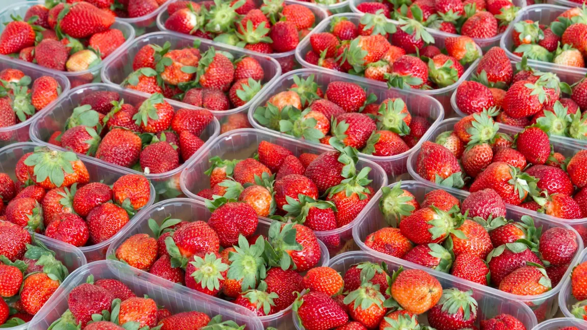 Deutsche Erdbeeren haben erst im Juni Saison. Foto: iStock
