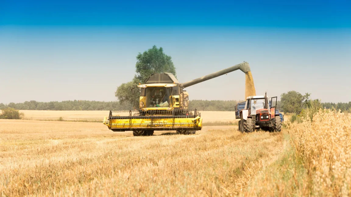 Beim Urlaub auf dem Bauernhof können sich die Gäste aus erster Hand über die heimische Landwirtschaft informieren. Foto: Fotolia