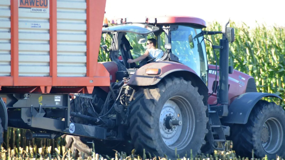 Bei der Silomaisernte ist Jacqueline selbstverständlich mit dabei. Foto: privat