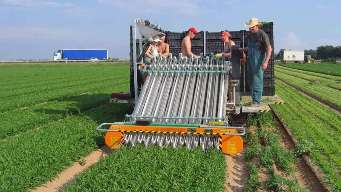 Eine selbstfahrende Erntemaschine ersetzt anstrengende Handarbeit. Foto: Schockert, DLR Rheinpfalz