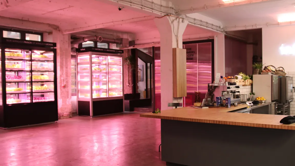 In einer Experimentierküche werden Rezepte entwickelt und ausprobiert. Köche werden zu Events eingeladen, bei denen sie Infarm kennen lernen. Und es wird ein Mal pro Woche für die Mitarbeiter frisch gekocht. Foto: Catrin Hahn