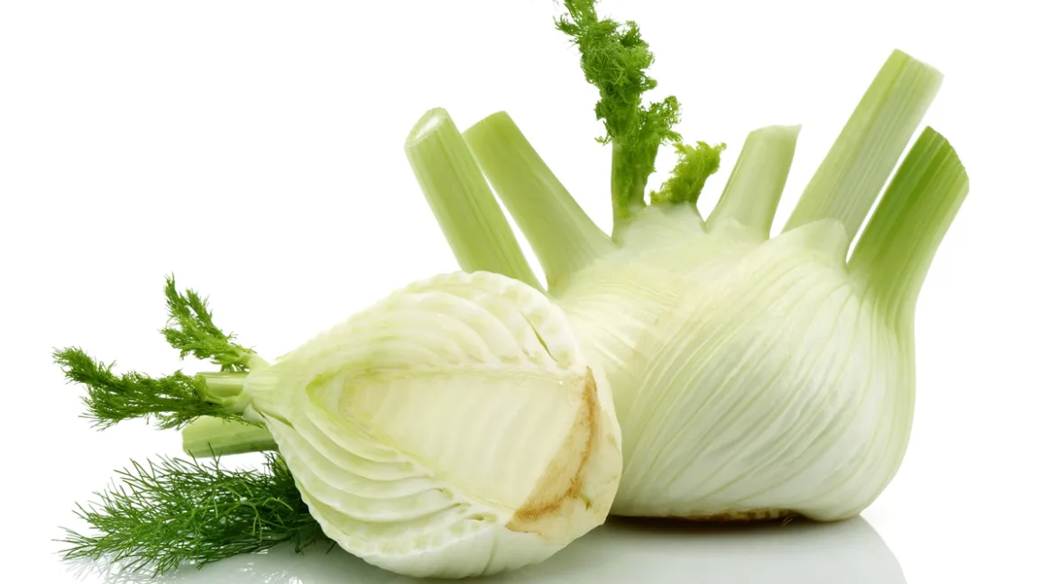 Gemüsefenchelknollen sind faustgroß mit 200 bis 400 Gramm im Handel. Foto: istock