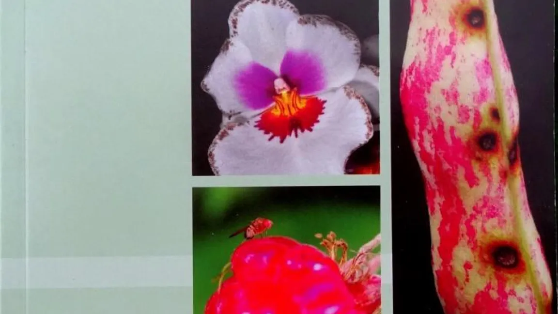 Buchcover Pflanzenschutz-Ratgeber Haus- und Kleingarten. Foto: Klaus Margraf