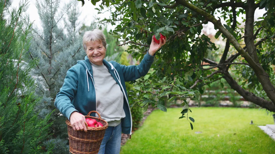 "Wie es (er) mir gefällt". Foto: istock
