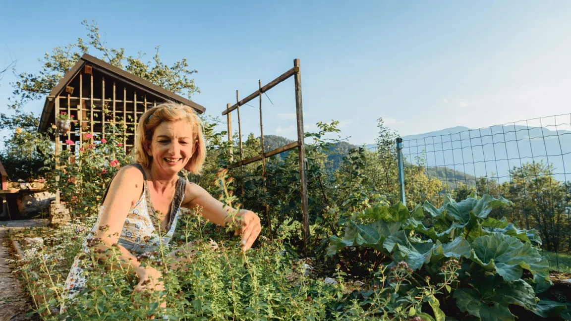 Kleingärten haben viele positive Effekte auf das menschliche Wohlbefinden. Foto: istock