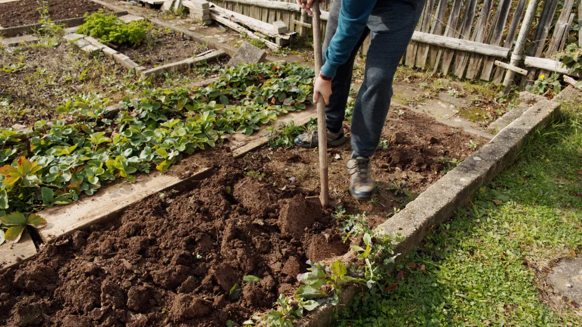 Gartenarbeit kann das Fitness-Studio ersetzen. Foto: istock