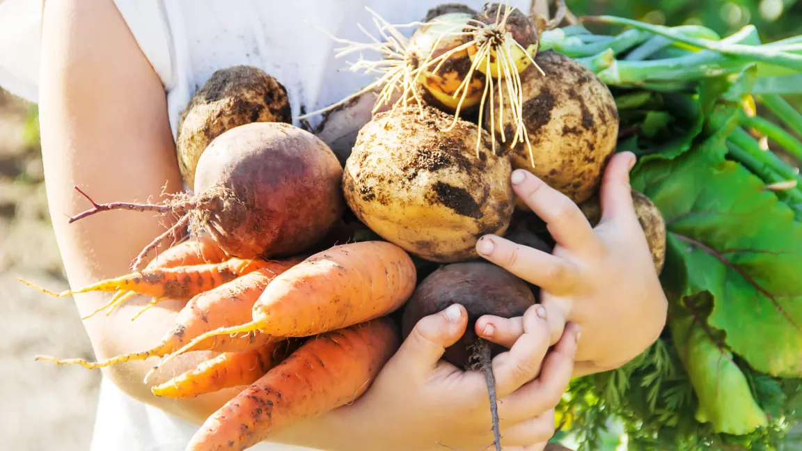 Selbst geerntetes Gemüse schmeckt doppelt gut. Foto: istock