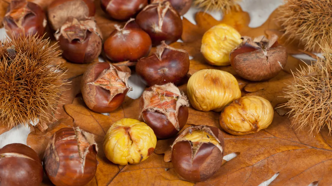 Geröstete Maronen sind in der kalten Jahreszeit beliebt. Foto: adpic