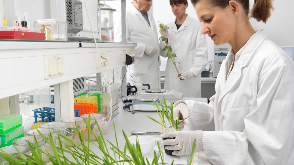 In vielen europäischen Ländern, auch in Deutschland, findet Gentechnik nur im Labor statt. Foto: istock