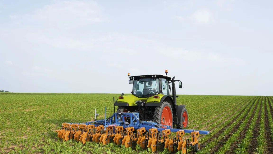 Zuckerrübenkulturen können mit einer Maschinenhacke plus Bandspritze unkrautfrei gehalten werden. Foto: Schmotzer
