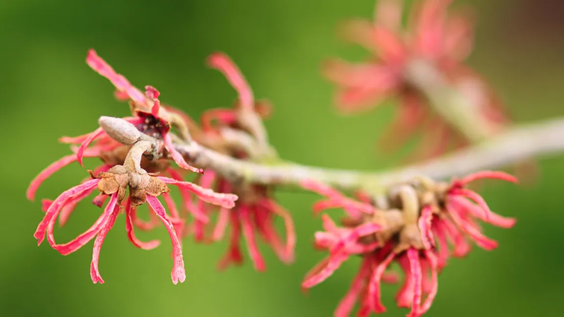 ... bis Rot. Foto: Fotolia