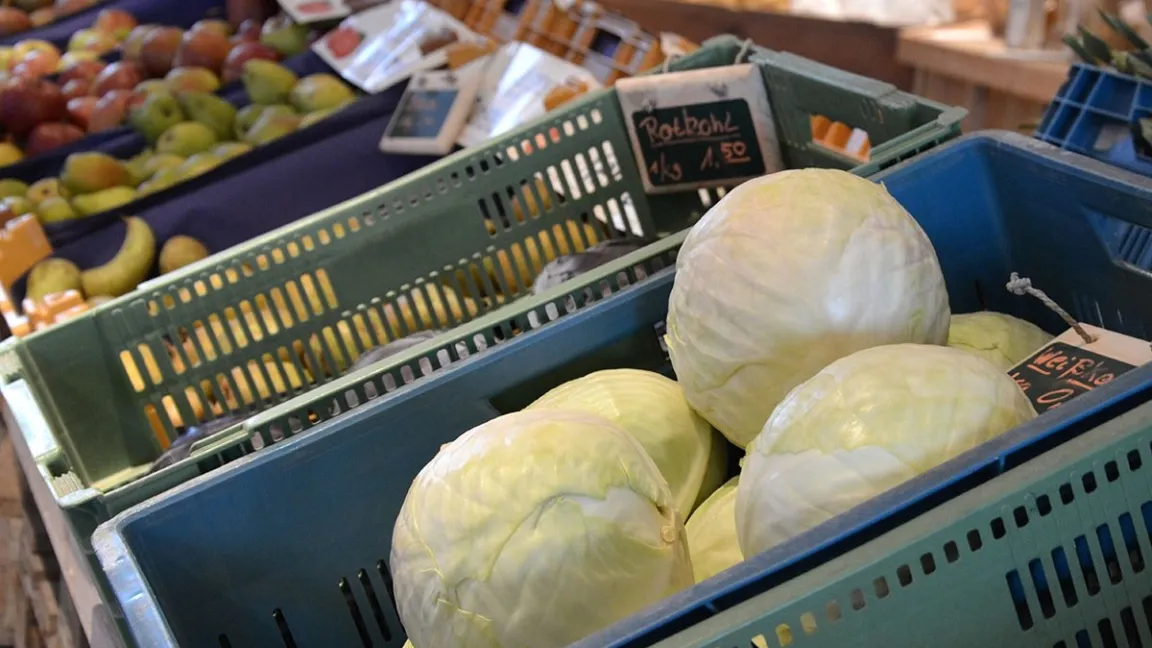 Weißkohl kann man vor allem im Winter in vielen Hofläden mit regionalen Erzeugnissen kaufen. Foto: Matthias Wiedenau