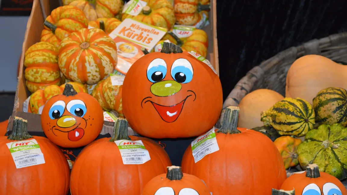 Die leuchtend orangen Hokkaido-Kürbisse sind ein hervorragender Blickfang. Foto: Matthias Wiedenau
