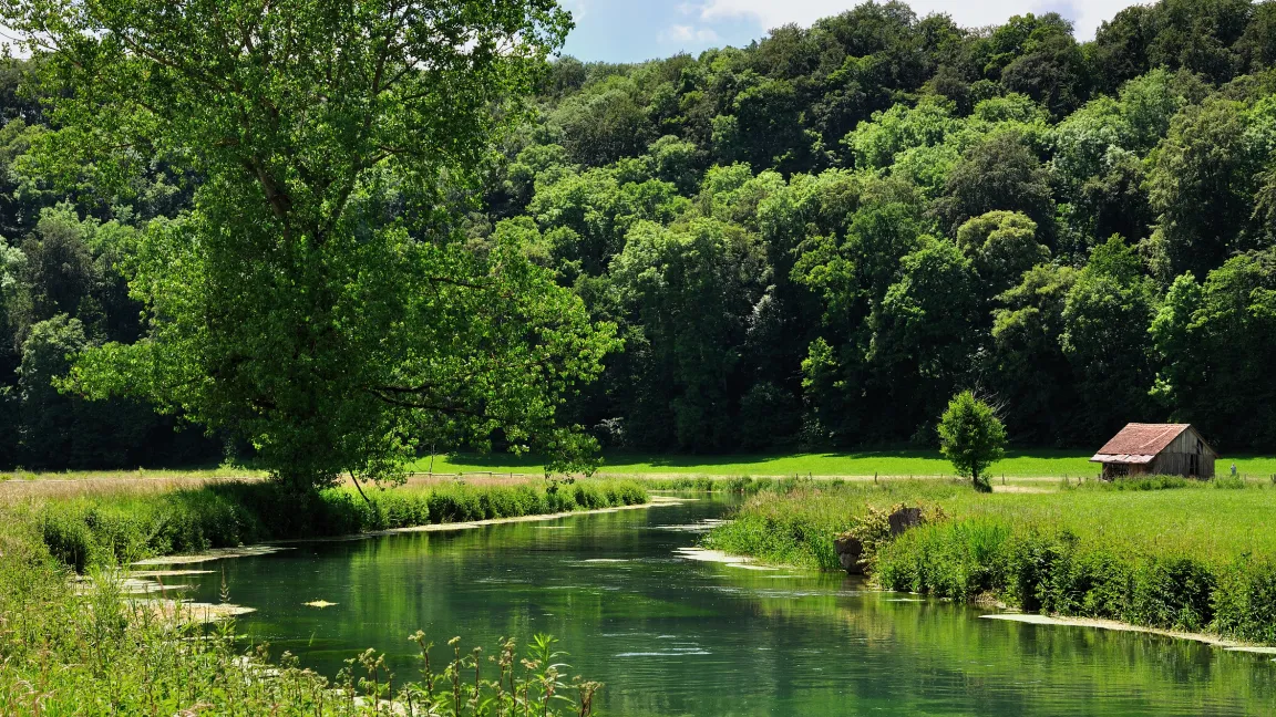 Im, am und auf dem Wasser ist die Artenvielfalt besonders groß. Foto: Fotolia