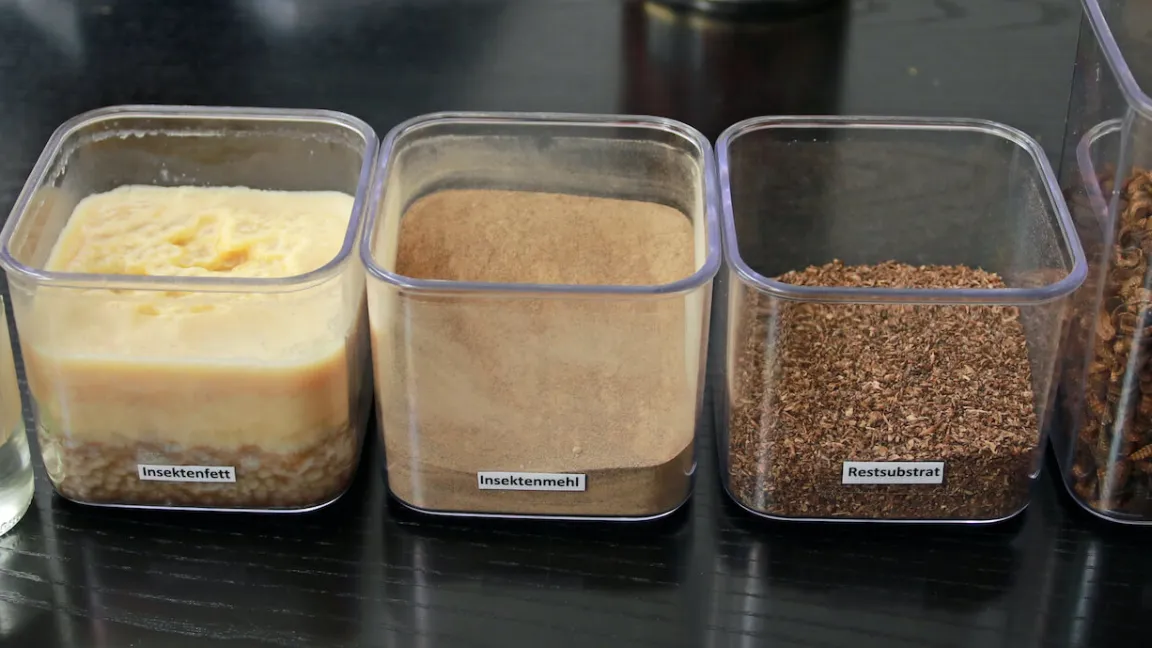 Inhaltsstoffe und Nutzungsmöglichkeiten der Hermetia-Fliegenlarven: In den beiden Fläschchen befinden sich Diesel und Kerosin aus Insektenfett. Foto: Catrin Hahn