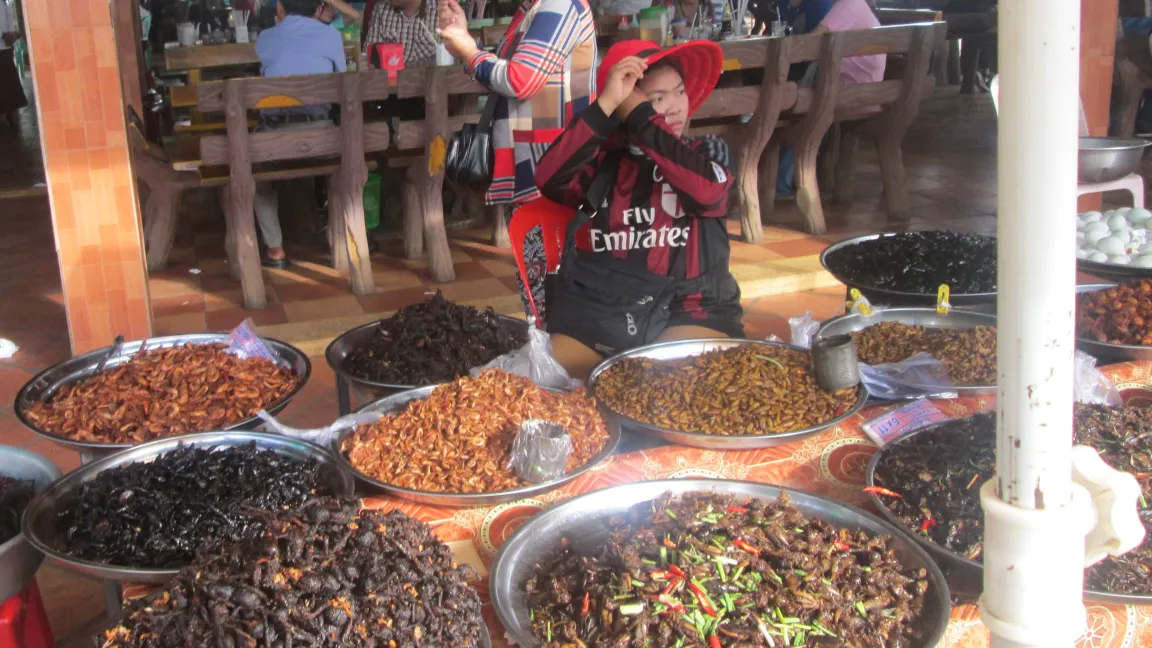 In einigen Ländern stehen Insekten auf dem Speiseplan. Foto: IVA