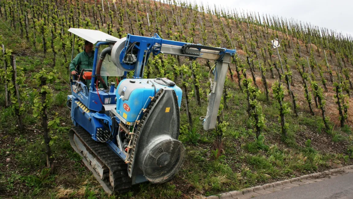 Trägerfahrzeug des Steillagenvollernters ist eine Andreoli-Raupe, die über ein Seil mit Hangelwinde gesichert wird. Die Fingerkränze des aufgesattelten Vollernters greifen von zwei Seiten in die Laubwand einer Rebzeile ein. Durch Rütteln der Rebtriebe lösen sie die Beeren vom Stielgerüst der Trauben. Das aufgefangene Erntegut wird über Rechen- und Gebläseeinrichtungen von Blättern und Rebholzteilen gesäubert und gelangt über Fördereinrichtungen in den Auffangbehälter. Nach eigenen Angaben genügt die Qualität des Lesegutes höchsten Ansprüchen. Foto: Hoffmann Landmaschinen GmbH